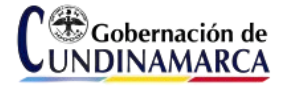 Partner 6